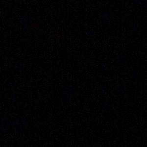 Meet your Posher, Samson